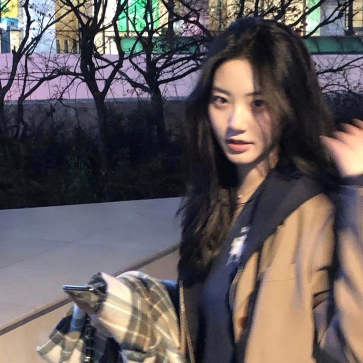您的老鼠好友