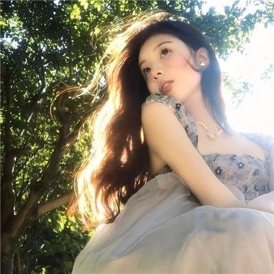 后宫之乌