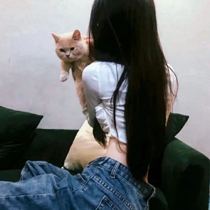 机器人艺妓